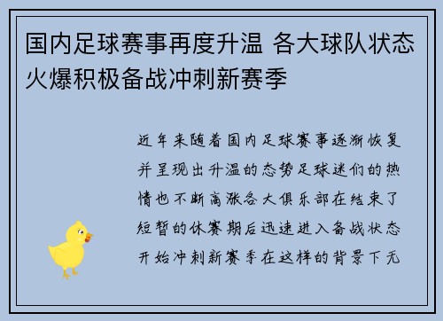 国内足球赛事再度升温 各大球队状态火爆积极备战冲刺新赛季